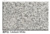 Calabash White Granite Slab