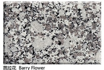 barry flower granite tile