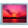 6.5 Inch NEC NL6448BC20-35D 640 ( RGB ) x 480 LCD Screen Panels For Industrial Use