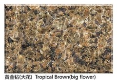 Tropical Brown granite big flower