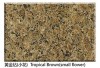 Natural Polished Granite Tropical Brown Slab small flower