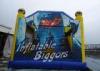 Outdoor PVC Inflatable Combo Amusement Park , Inflatable Bouncer And Slide