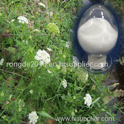 health care and natrual Cnidium Seed Extract Osthole powder