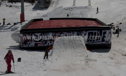 Logo Print Mountain Ski Pillow