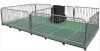 Shengxin Piglet Nursery Crate