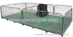 Shengxin Piglet Nursery Crate