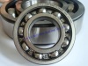 Deep Groove Ball Bearing 60/800 N1/C9