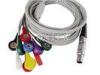 10 Lead Holter Cable And Leadwires , AHA Snap Lemo 14 Pin Plug