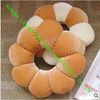 Sunflower Custom Stuffed Toy Pillow, Comfortable Foam Particles Cute Plush Toys