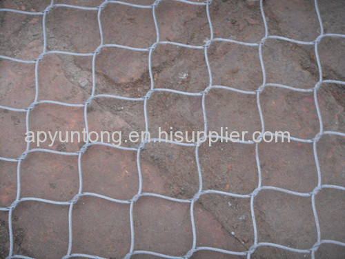 bird plain woven steel rope netting 