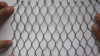 bird plain woven steel rope netting