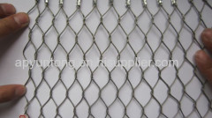 bird plain woven steel rope netting