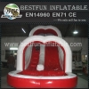 Factory Price Inflatable Water Slides