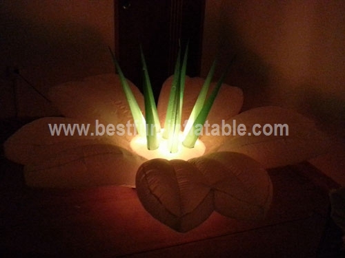 Giant Inflatable Flowers LED Light