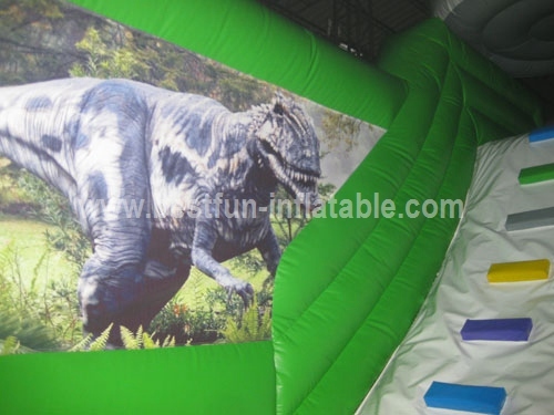 Giant Print Inflatable Dragon Theme Park