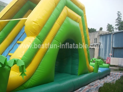 Inflate Water Slide with Slip n Pool