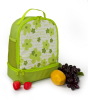 beautiful lunch tote cooler bags for kids-HAC13302