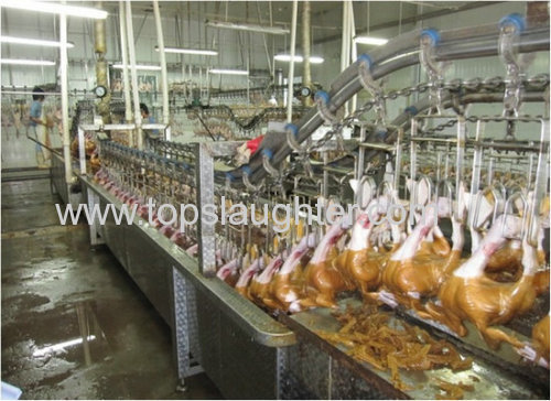 Poultry Processing Equipment for Ducks Processing