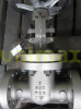 Multi-turn Gear Actuator, IP65