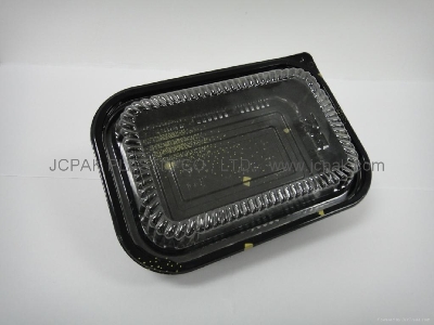 Lunch Box / Disposable food container