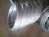 Galvanized Wire Facotry(10 years)