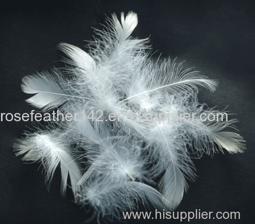 Washed white duck feather 6-8 cm