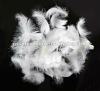 washed white duck feather