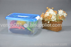 Plastic storage box with lid