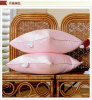 Goose Feather cushion inner