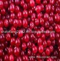 Cranberry extract Proanthocyanidins 25%-50%
