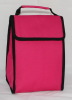 Promotion cooler tote bags top carry cooler bags for lady-HAP12038P