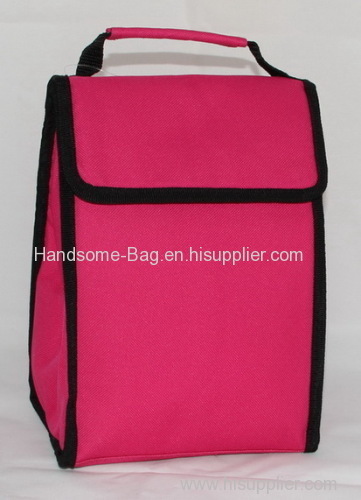 Promotion cooler tote bags top carry cooler bags for lady-HAP12038P