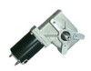 PMDC WORM GEAR MOTOR (80ZYT-WOG)