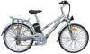 Electric Bicycle M 262