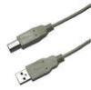 2.0 USB Data Transfer Cable AM BM Printer USB Cable For Computer