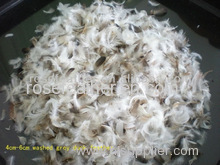 Washed Grey Duck Feather 4-6cm