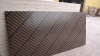 18mm Construction Film Faced Plywood