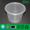 Disposable Plastic Deli Container (A1250)