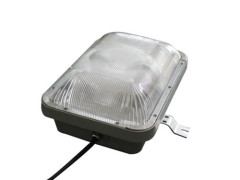 40-50W Induction explosion-proof Light