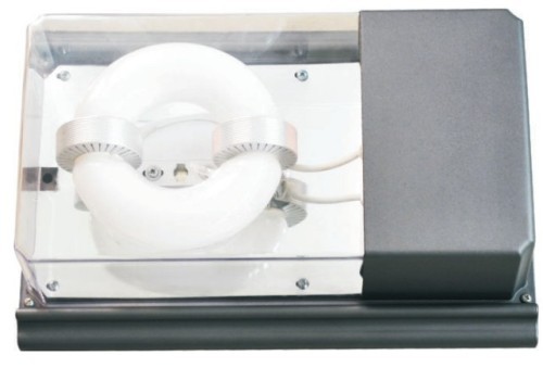 40W IP65 Electrodeless Wall Pack