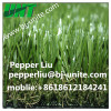 Leasuire Artificial Carpet Turf For Entertainment