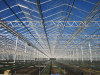 LP Venlo Glass Greenhouse