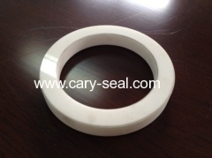 ceramic seal ring products