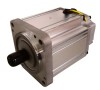 BRUSHLESS DC MOTOR (80)