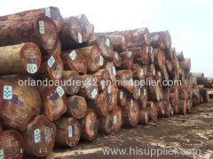 Equatorial Rain Forest wood timber logs best quality, good price