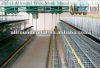 China factory quality A type poultry cages