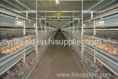 broiler cage for sale