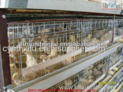 Pullet rearing baby chick cage