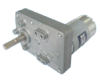 DC GEAR MOTOR (RS555-PAG)