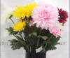 beautiful 2 heads chrysanthemum